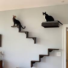 Floating Cat Shelves Cat Bed Cat Stairs