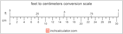 centimeters to feet and inches