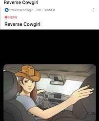 Reverse Cowgirl : r/ontheledgeandshit