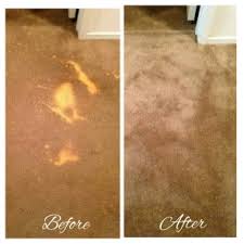 bleach stain removal heavens best