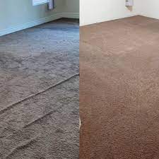 carpet cleaning pet stains in las vegas