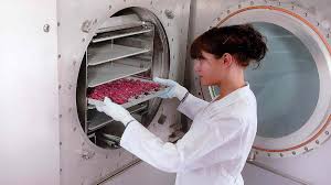 Freeze drying your own food opens up the possibility for many practical uses. Freeze Dryers Gea Dryers Particle Processing Plants