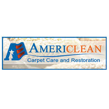 carpet cleaners in auburn al