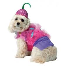 New Rasta Imposta Cupcake Dog Halloween Costume Xl Xlarge