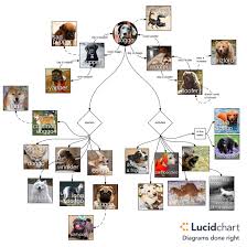 What Is A Pupper Video Diagram Lucidchart Blog