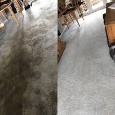 the 1 commercial carpet cleaning in