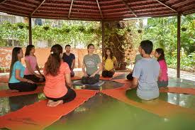 yoga teacher training course