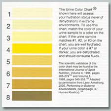 Dehydration Pee Color Chart Www Bedowntowndaytona Com