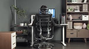 office chair ergonomic adjustments