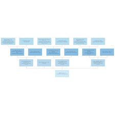 Business Ownership Chart