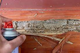 do termites eat wood flooring