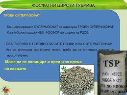 Характеристики на троен супер фосфат цена и повече информация за продуктите на завода тук: Ppt Veshtachki Ñubriva Opshti Poimi I Definicii Powerpoint Presentation Id 5381266