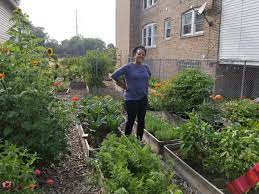 award winning chicago urban gardeners