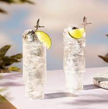 grey goose vodka soda with lime