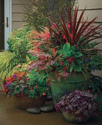 Planting Plan Plants Container Flowers