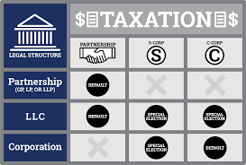 Business Entity Comparison Harbor Compliance