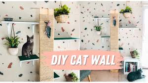 how to build a cat wall er