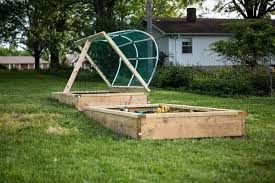 Raised Garden Bed Sit On Top Of Grass