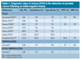 Pca3 What Is Its Role In Prostate Cancer Screening Renal