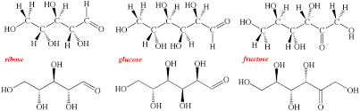 structure of sugars