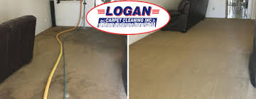 pet odor stain removal services