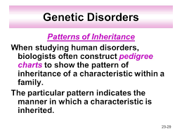 Chapter 23 Patterns Of Gene Inheritance Ppt Download