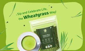 wheatgr juice benefits for skin
