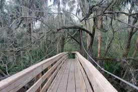 Maybe you would like to learn more about one of these? Hillsborough River State Park Is One Of The Very Best Things To Do In Tampa
