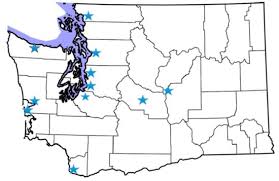 The Washington State Environmental