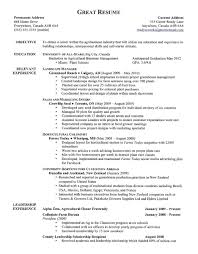 Listing Volunteer Work On Resume Example Resume Examples