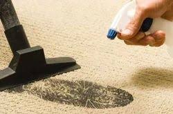 carpet dry clean services