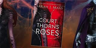A court of thorns and roses. A Court Of Thorns And Roses By Sarah J Maas Book Review The Children S Book Review
