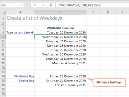 working days excel workday function