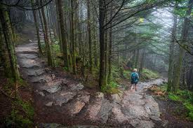 The longest i've hiked without meeting up with someone not in my party was four days while backpacking in the rocky mountains. Easy Hiking Trails In Asheville Outdoor Activities Asheville Nc S Official Travel Site