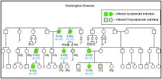 Huntingtons Disease Presentation P6 Genetics Pbl Dbh