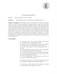 Youth Counselor Cover Letter toubiafrance com