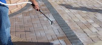 We covered how to clean pavers in this post. Why Seal Pavers A Growth Business Black Diamond Coatings