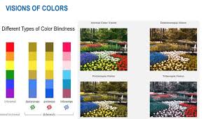 driving awareness of color blindness