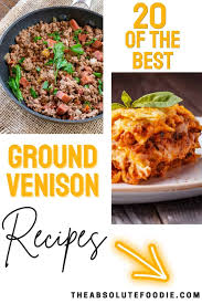 20 delicious ground venison recipes