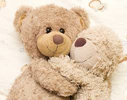 two brown bears plush toys teddy bears