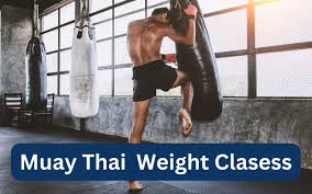 muay thai weight cles ultimate