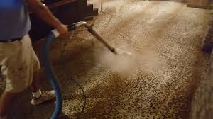 carpet cleaning pet odor removal in