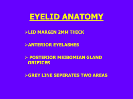 ppt eyelid reconstruction powerpoint
