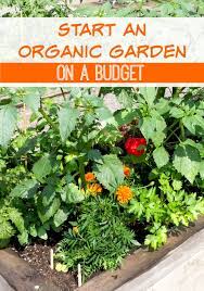 Start An Organic Garden On A Budget