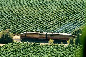 napa valley wine train everything to