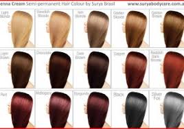 76 Unexpected Garnier Herbashine Hair Colour Chart