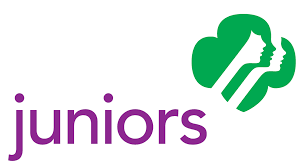 Image result for girl scout junior images