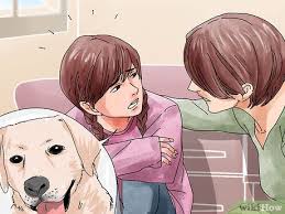 how to help your child when a pet s