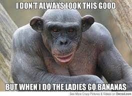 Search, discover and share your favorite funny monkey gifs. 25 Funny Monkey Memes You Ll Totally Fall In Love With Sayingimages Com