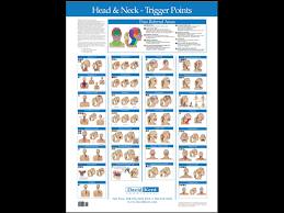 Anatomical Chart Head Neck Trigger Points A 1